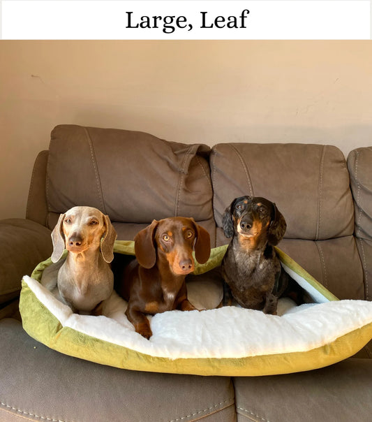 SnuggleBurrow™