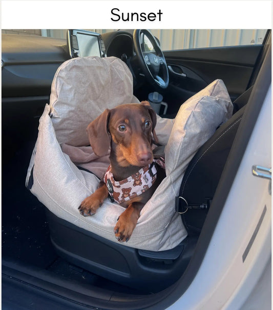 Snootzi Car Seat - NEW!