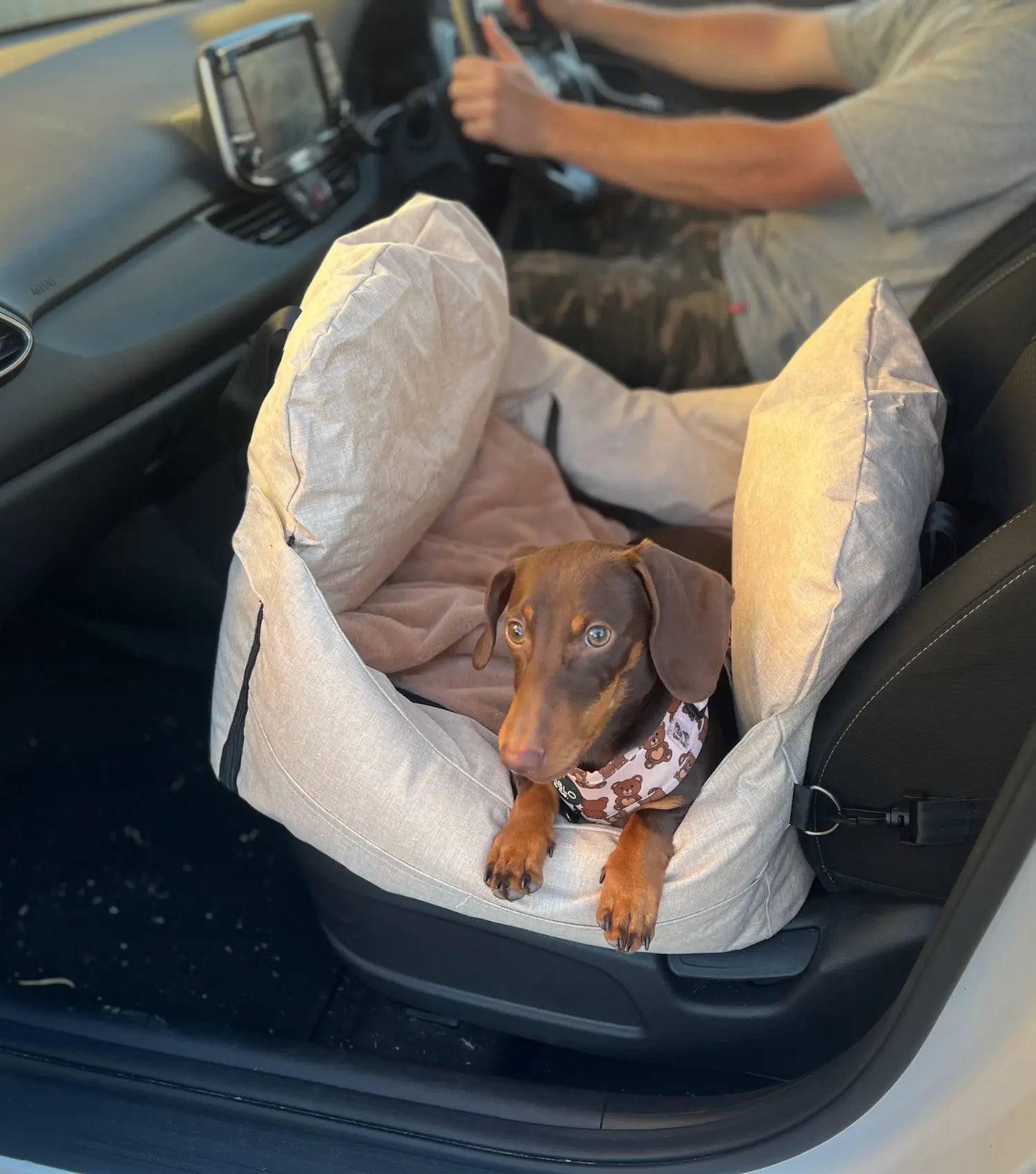 Snootzi Car Seat - NEW!