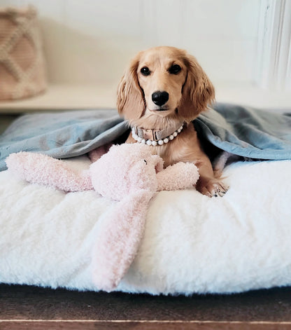 SnuggleBurrow™