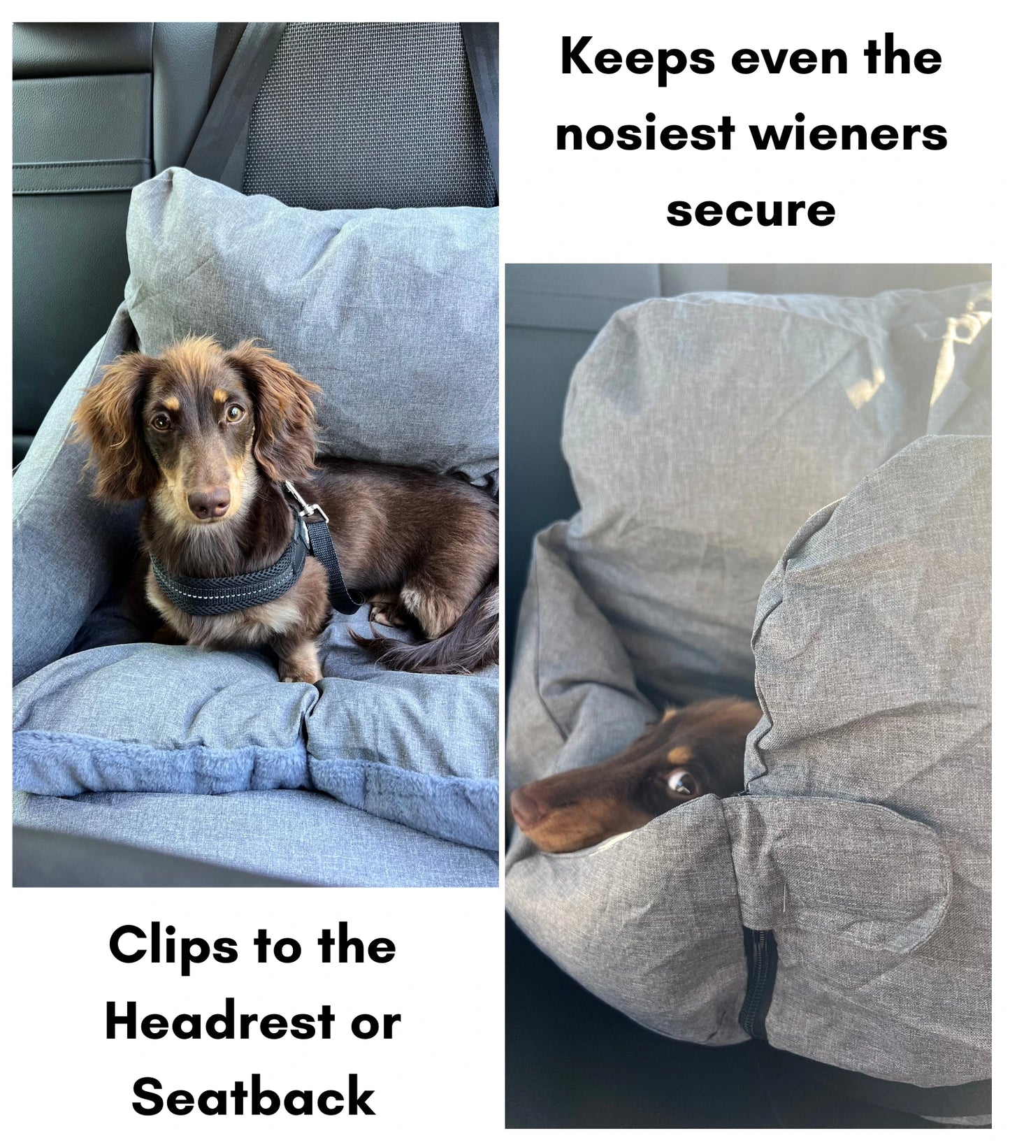 Snootzi Car Seat - NEW!